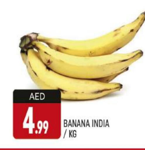 Banana from India available at AL MADINA (Dubai) in UAE - Dubai
