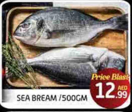 available at FOODZONE SUPERMARKET in UAE - Fujairah