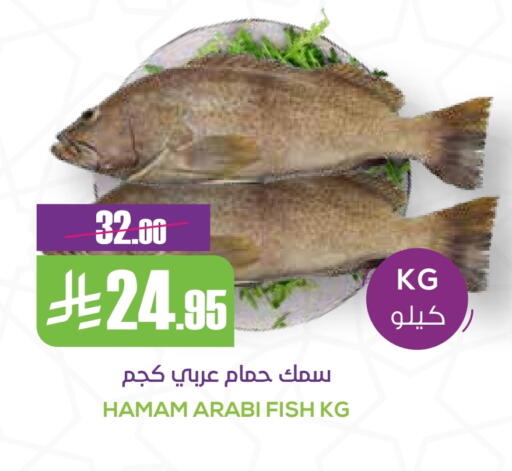 available at Sapt in KSA, Saudi Arabia, Saudi - Buraidah