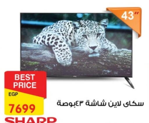 شارب تلفاز ذكي available at فتح الله in Egypt - القاهرة
