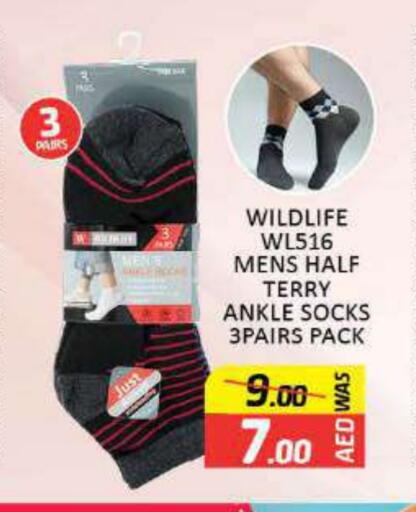 available at المدينة in الإمارات العربية المتحدة , الامارات - ٱلْعَيْن‎