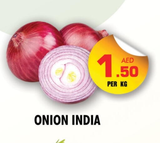 بصل from India available at نايت تو نايت in الإمارات العربية المتحدة , الامارات - الشارقة / عجمان