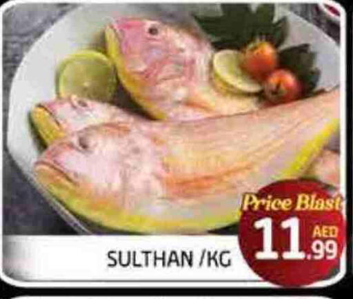 available at FOODZONE SUPERMARKET in UAE - Fujairah