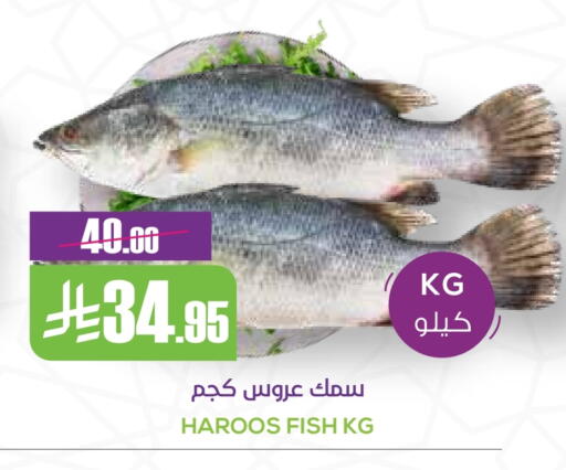 available at Sapt in KSA, Saudi Arabia, Saudi - Buraidah