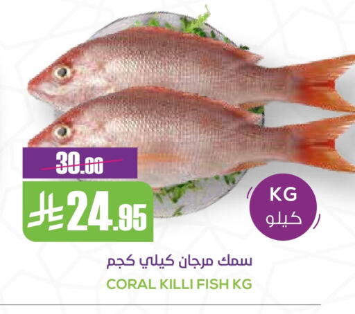 available at Sapt in KSA, Saudi Arabia, Saudi - Buraidah