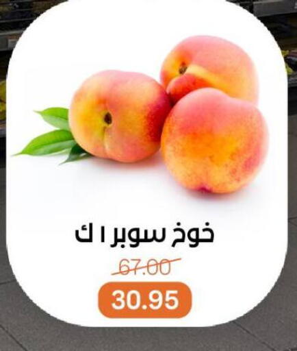 available at Beit El Gomla in Egypt - Cairo
