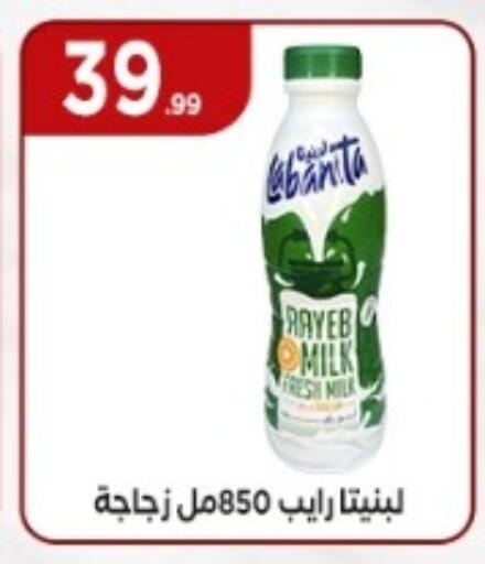 Fresh Milk available at El Mahlawy Stores in Egypt - Cairo