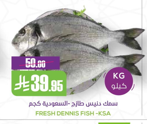 available at Sapt in KSA, Saudi Arabia, Saudi - Buraidah