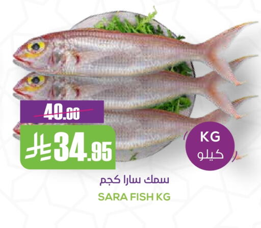 available at Sapt in KSA, Saudi Arabia, Saudi - Buraidah