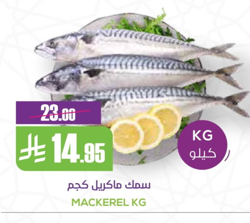 available at Sapt in KSA, Saudi Arabia, Saudi - Buraidah