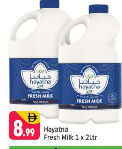 HAYATNA Fresh Milk available at Shaklan  in UAE - Dubai