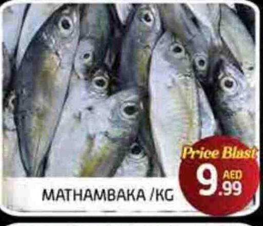available at FOODZONE SUPERMARKET in UAE - Fujairah