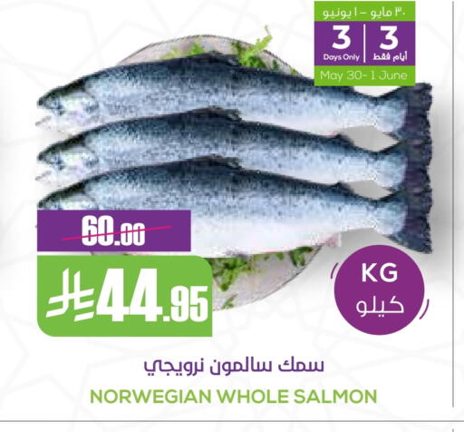 available at Sapt in KSA, Saudi Arabia, Saudi - Buraidah
