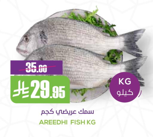 available at Sapt in KSA, Saudi Arabia, Saudi - Buraidah