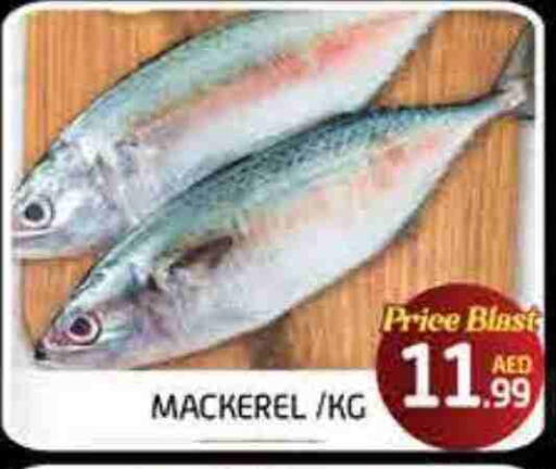 available at FOODZONE SUPERMARKET in UAE - Fujairah
