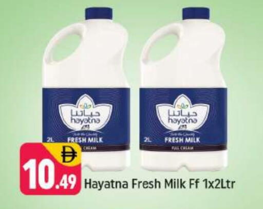 HAYATNA Fresh Milk available at Shaklan  in UAE - Dubai
