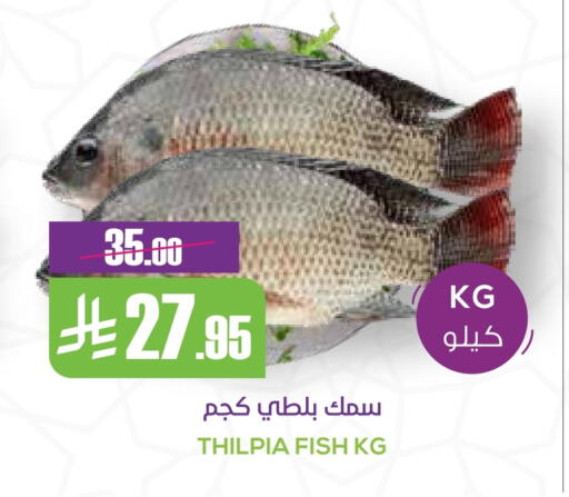 available at Sapt in KSA, Saudi Arabia, Saudi - Buraidah