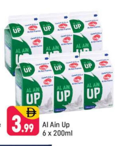 AL AIN available at Shaklan  in UAE - Dubai