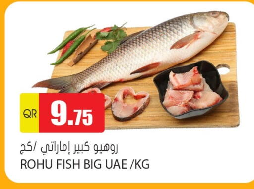 available at Grand Hypermarket in Qatar - Doha