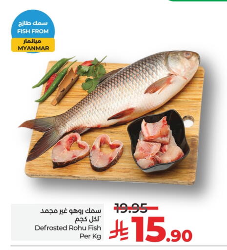Fresh Fish in LULU Hypermarket, Saudi Arabia Offers - Saudi Arabia available at LULU Hypermarket in KSA, Saudi Arabia, Saudi - Al Hasa