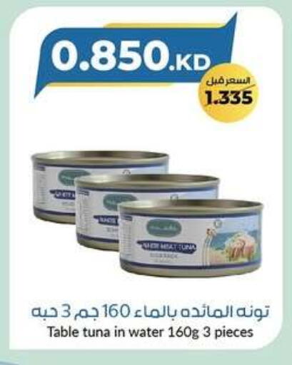 Tuna - Canned available at khitancoop in Kuwait - Kuwait City