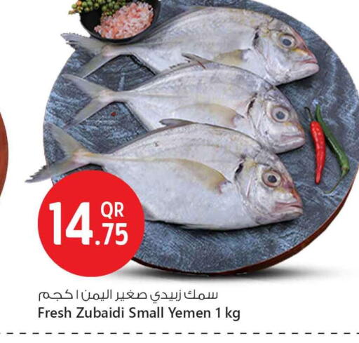 available at Safari Hypermarket in Qatar - Doha