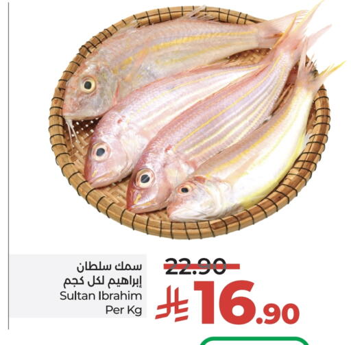 available at LULU Hypermarket in KSA, Saudi Arabia, Saudi - Hail
