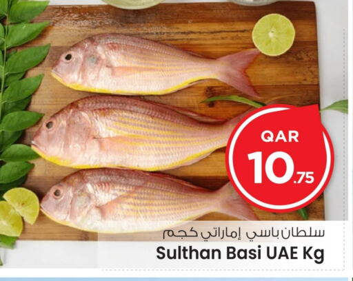 الأسماك الطازجة in مارك & سيف, قطر Offers - قطر available at مارك & سيف in قطر - الشمال