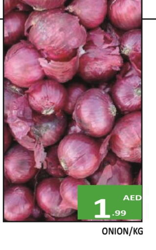 بصل available at المدينة in الإمارات العربية المتحدة , الامارات - الشارقة / عجمان
