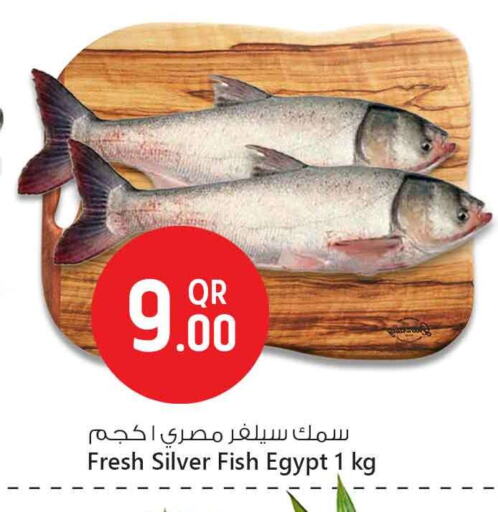 available at Safari Hypermarket in Qatar - Doha