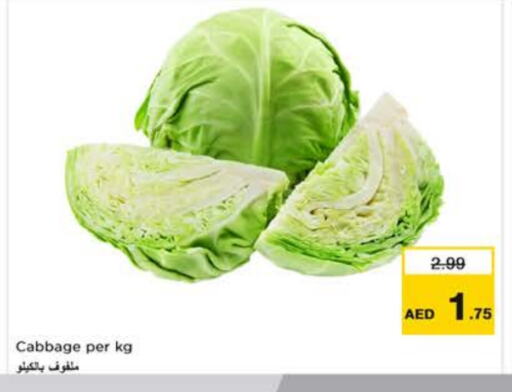 Cabbage available at Nesto Hypermarket in UAE - Dubai