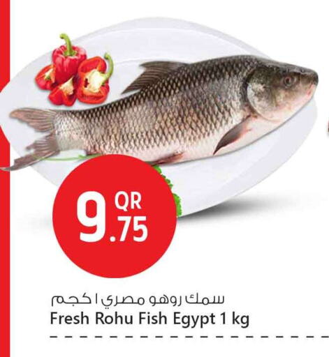 available at Safari Hypermarket in Qatar - Doha