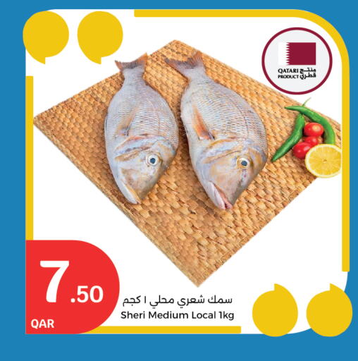 available at City Hypermarket in Qatar - Doha