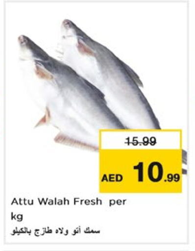 available at Nesto Hypermarket in UAE - Dubai