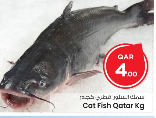 الأسماك الطازجة in مارك & سيف, قطر Offers - قطر available at مارك & سيف in قطر - الشمال
