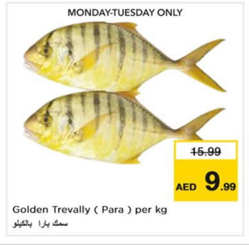 available at Nesto Hypermarket in UAE - Abu Dhabi