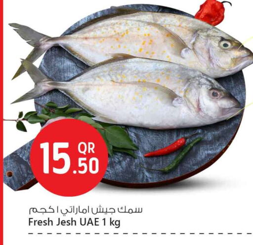 available at Safari Hypermarket in Qatar - Doha