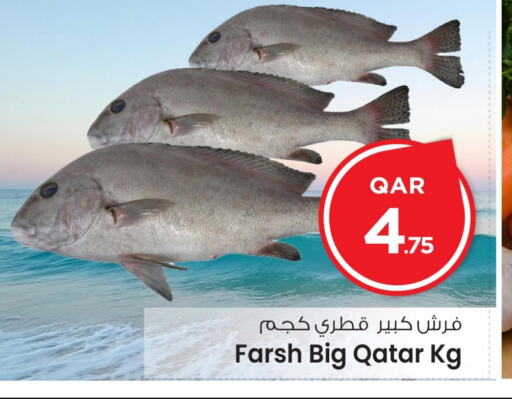 الأسماك الطازجة in مارك & سيف, قطر Offers - قطر available at مارك & سيف in قطر - الشمال