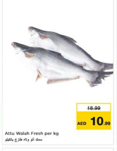 available at Nesto Hypermarket in UAE - Dubai
