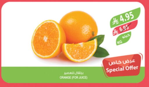 Fresh Fruits in Farm , Saudi Arabia Offers - Saudi Arabia Orange available at Farm in KSA, Saudi Arabia, Saudi - Al Khobar
