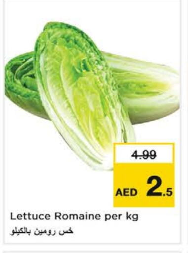 الخضروات الطازجة in نستو هايبرماركت, UAE Offers - الإمارات العربية المتحدة Lettuce available at نستو هايبرماركت in الإمارات العربية المتحدة , الامارات - ٱلْعَيْن