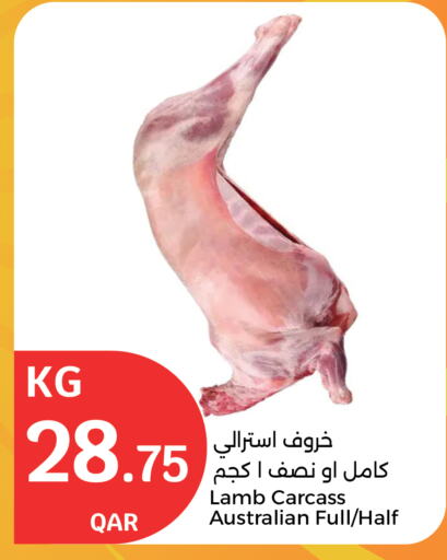 لحم الضأن / الغنم available at سيتي هايبرماركت in قطر - الضعاين