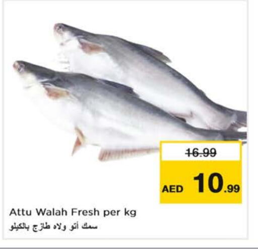available at Nesto Hypermarket in UAE - Abu Dhabi