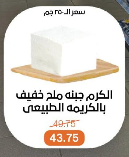 جبنة و كريم in بيت الجملة, Egypt Offers - Egypt available at بيت الجملة in Egypt - القاهرة