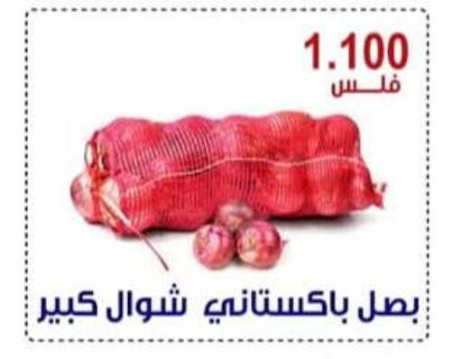 Onion available at Egaila Cooperative Society in Kuwait - Ahmadi Governorate