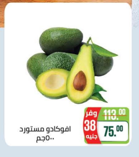 فاكهة طازجة in سعودي سوبرماركت, Egypt Offers - Egypt أفوكادو available at سعودي سوبرماركت in Egypt - القاهرة