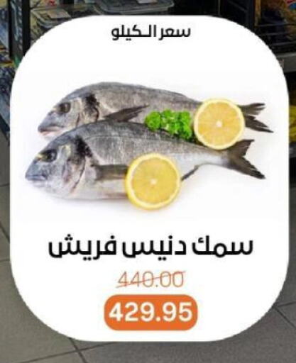 الأسماك الطازجة in بيت الجملة, Egypt Offers - Egypt available at بيت الجملة in Egypt - القاهرة