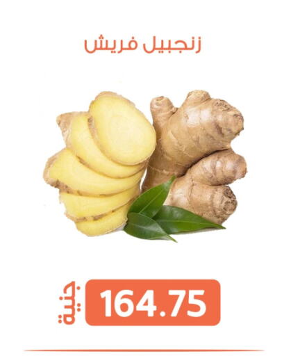 الخضروات الطازجة in سوق غلاب, Egypt Offers - Egypt زنجبيل available at سوق غلاب in Egypt - القاهرة