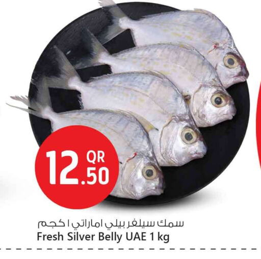 available at Safari Hypermarket in Qatar - Doha