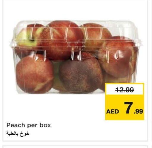 برقوق available at لاست تشانس in الإمارات العربية المتحدة , الامارات - ٱلْفُجَيْرَة‎